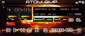 atom amp.jpg (14124 bytes)