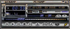 flyamp13.jpg (14801 bytes)