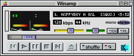 macamp.jpg (15266 bytes)